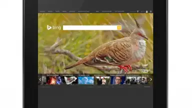 Capture d'écran de Anonymous Browser 16