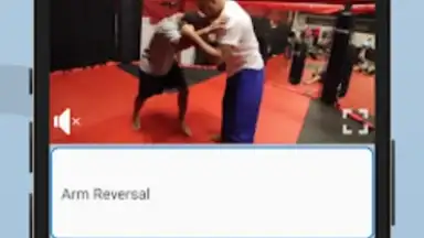 Capture d'écran de Ultimate MMA Fighting Program 9