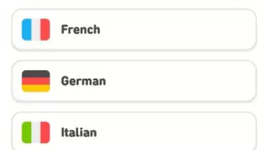 Capture d'écran de Duolingo 1