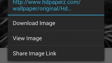 Capture d'écran de Broloader Video Downloader 13