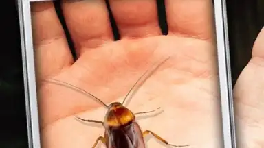 Capture d'écran de Cockroach Hand Funny Joke 2