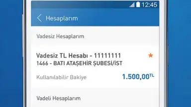Capture d'écran de Halkbank 5
