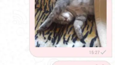 Capture d'écran de Triple chat, online dating 2