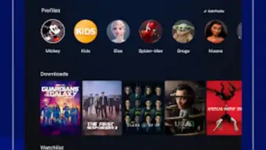 Capture d'écran de Disney+ Hotstar (Android TV) 17