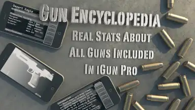 Capture d'écran de iGun Pro 12