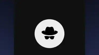 Capture d'écran de Private Browser 5