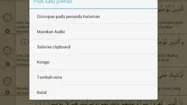 Capture d'écran de Quran Bahasa Melayu 4
