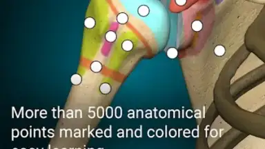 Capture d'écran de 3D Anatomy Learning 7