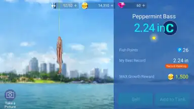 Capture d'écran de Fishing Strike 8