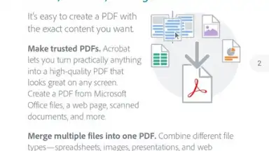 Capture d'écran de Adobe Acrobat Reader 8