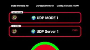 Capture d'écran de BD NET VPN 2