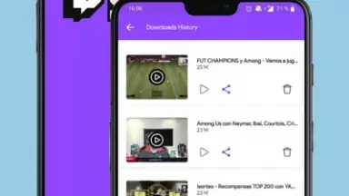 Capture d'écran de Twitch Downloader 2