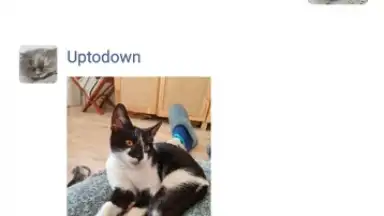 Capture d'écran de WeChat 17