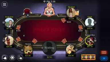 Capture d'écran de Dinger Poker 4