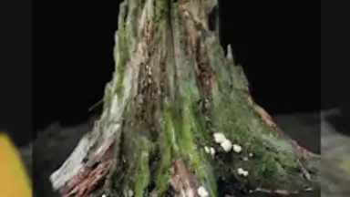 Capture d'écran de RealityScan - 3D Scanning App 6