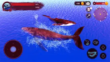 Capture d'écran de The Humpback Whales 11