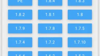 Capture d'écran de Minecraft Statistics 5
