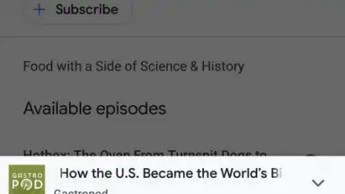 Capture d'écran de Google Podcasts 6