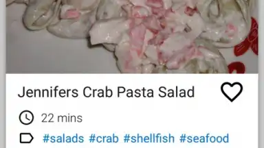 Capture d'écran de Salad Recipes FREE 4