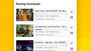 Capture d'écran de Vidora YouTube Downloader | free & fast 9