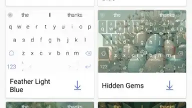 Capture d'écran de SwiftKey Keyboard 9