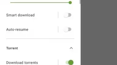 Capture d'écran de Advanced Download Manager 10