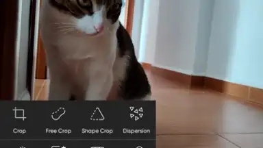 Capture d'écran de PicsArt 24