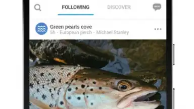 Capture d'écran de FishBrain 5