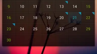 Capture d'écran de GO Calendar Widget 6
