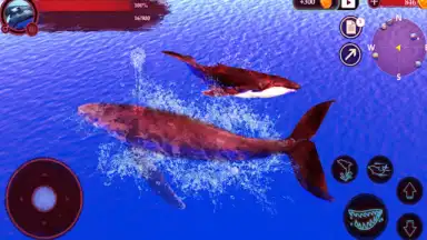 Capture d'écran de The Humpback Whales 21