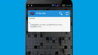 Capture d'écran de Португальско-русский словарь 1