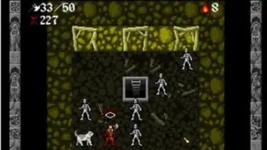 Capture d'écran de Ananias Mobile Roguelike 5
