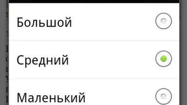 Capture d'écran de Lenta.ru 2