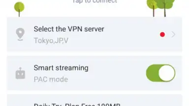 Capture d'écran de SGreen VPN 1
