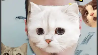Capture d'écran de InstaBeauty 1