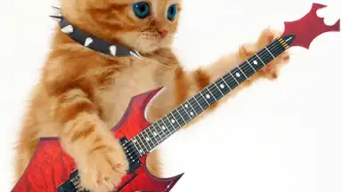 Capture d'écran de Talking, Dancing Cat. 3