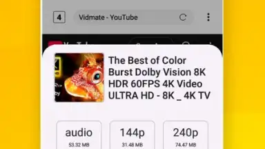 Capture d'écran de Vidora YouTube Downloader | free & fast 2
