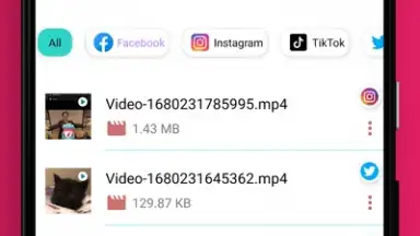 Capture d'écran de Video Downloader 2