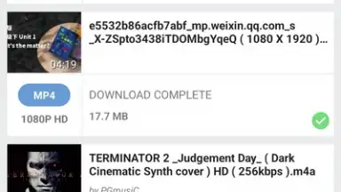 Capture d'écran de YVideo Downloader 2