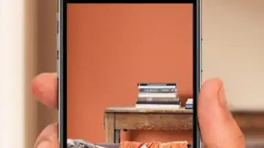 Capture d'écran de Dulux Visualizer IN 5