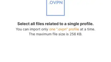 Capture d'écran de OpenVPN Connect 7