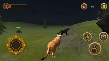 Capture d'écran de Puma Survival 2