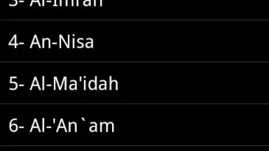 Capture d'écran de Quran MP3 With Indonesian 3
