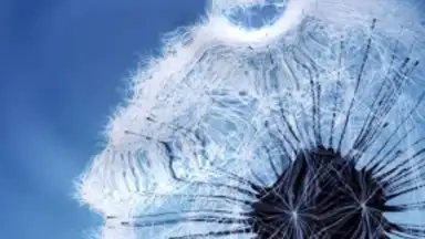 Capture d'écran de Galaxy S3 Live Wallpaper 1