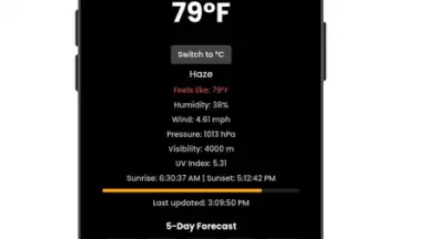 Capture d'écran de ForecastPro 3