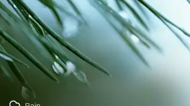 Capture d'écran de GO Weather Forecast and Widgets 6