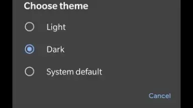 Capture d'écran de Google Recorder 5