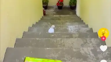 Capture d'écran de TikTok Pro 9