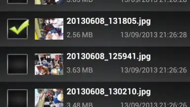 Capture d'écran de File Selector/Explorer 4