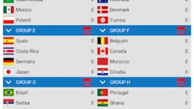 Capture d'écran de World Football Simulator 3